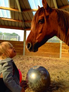 HORSE THERAPY WORKSHOPS FINANCED BY INTERNAL SALES